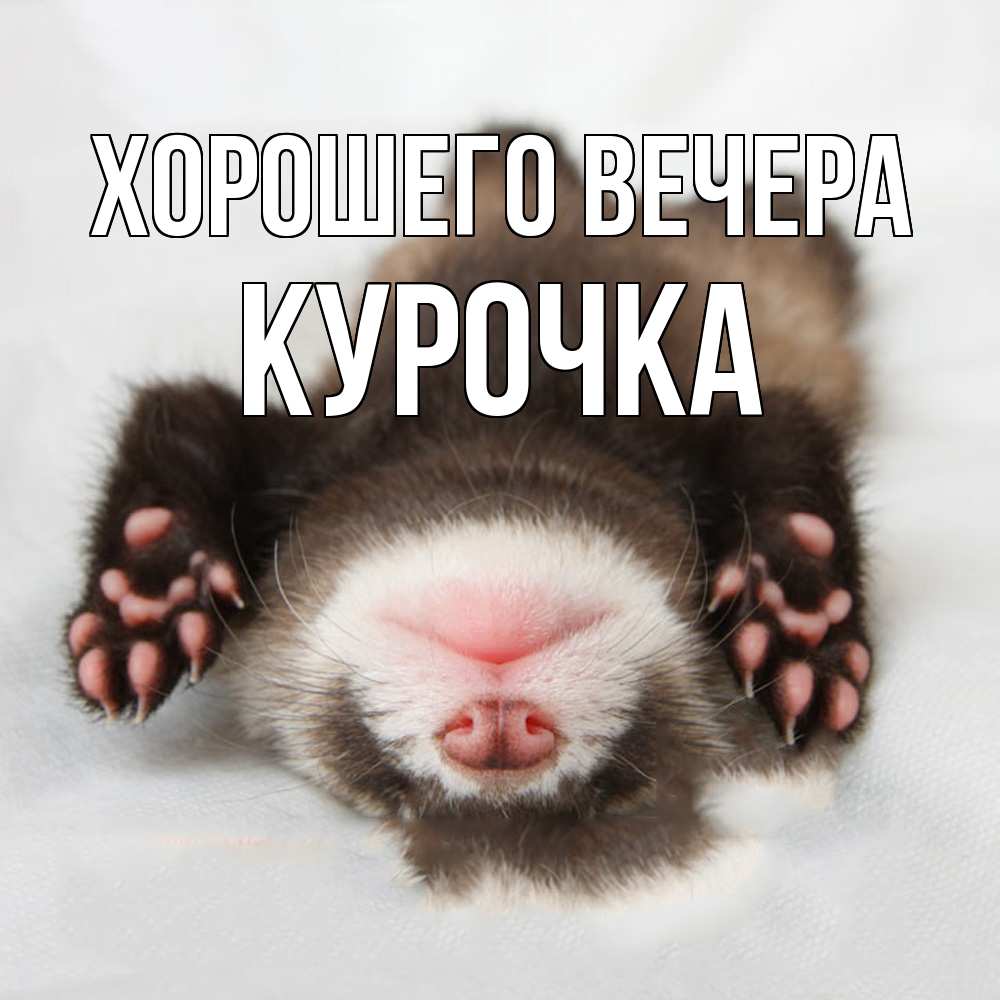 Открытка с именем, курочка, Хорошего вечера