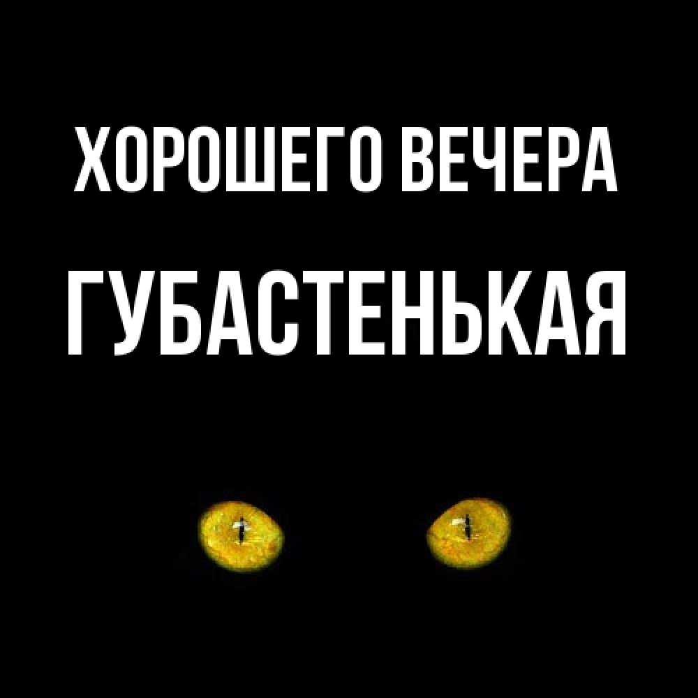 Открытка  для любимых и родных. губастенькая, Хорошего вечера  