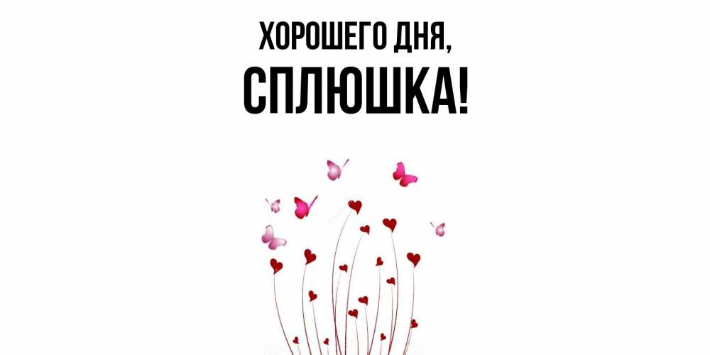 Открытка  для любимых и родных. сплюшка, Хорошего дня  