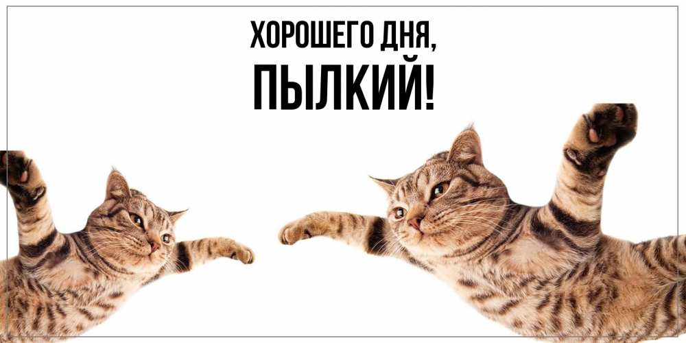 Открытка  для любимых и родных. пылкий, Хорошего дня  