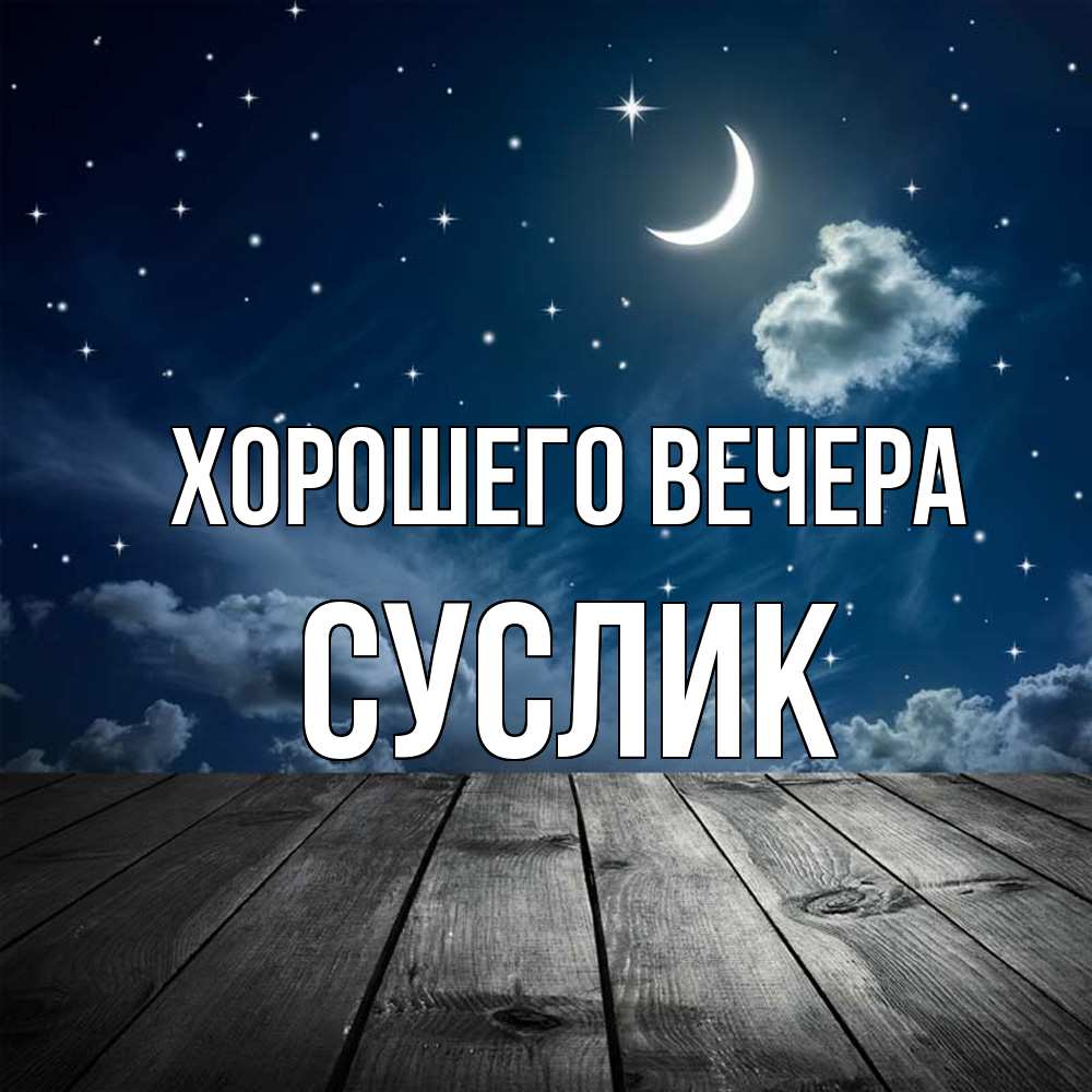 Открытка  для любимых и родных. суслик, Хорошего вечера  