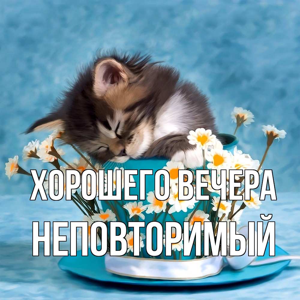 Картинка Хорошего вечера, неповторимый