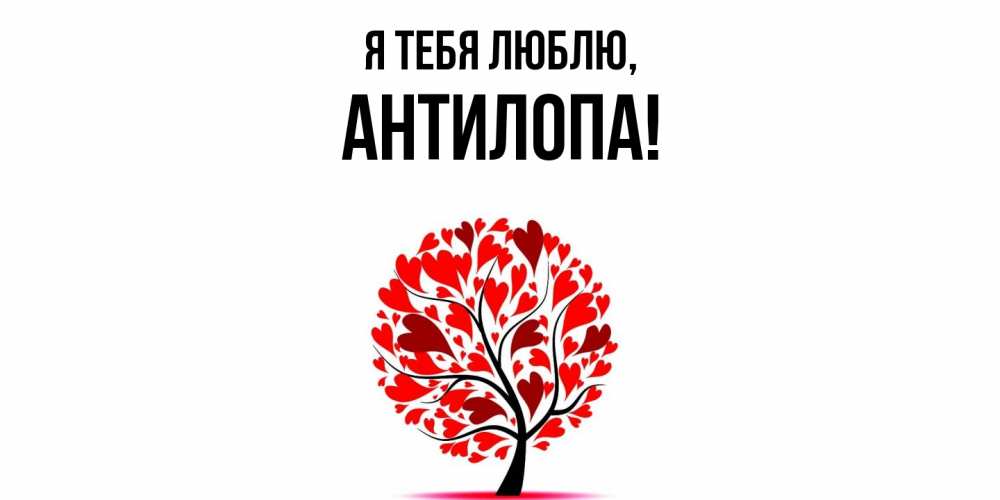 Открытка  для любимых и родных. антилопа, Я тебя люблю  