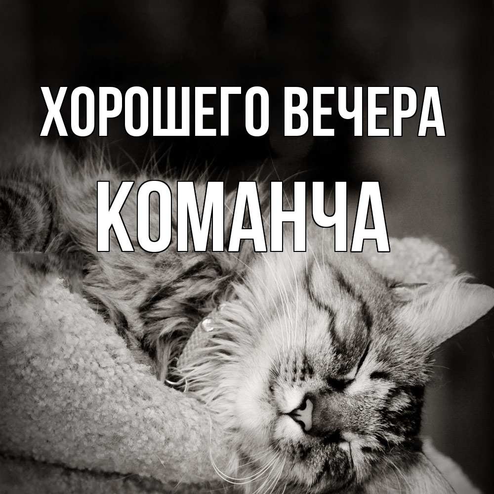 Открытка  для любимых и родных. команча, Хорошего вечера  