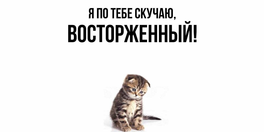 Картинка Я по тебе скучаю, восторженный