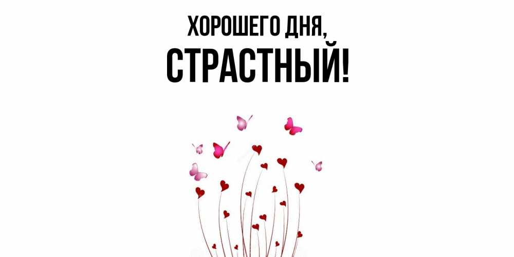 Открытка  для любимых и родных. страстный, Хорошего дня  