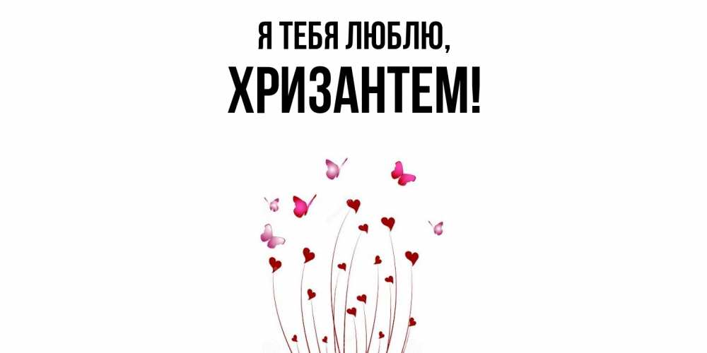 Открытка  для любимых и родных. хризантем, Я тебя люблю  