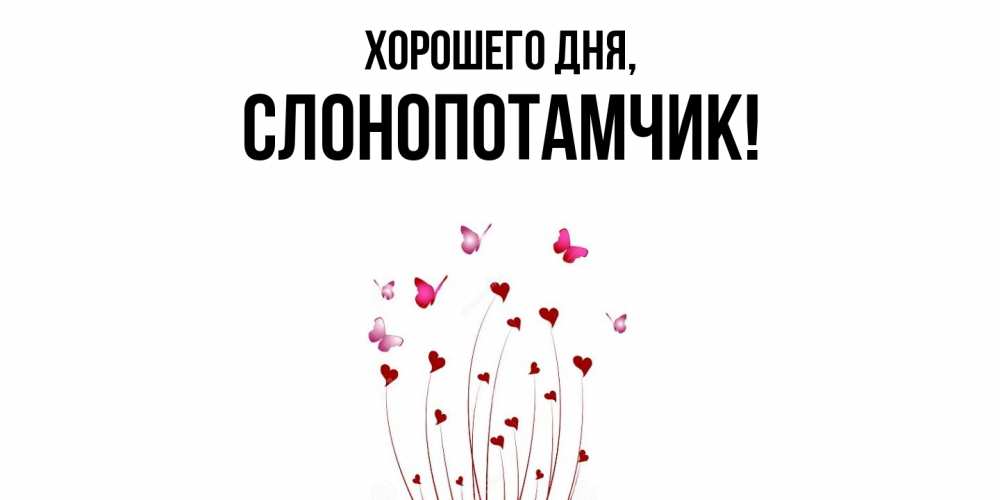 Открытка  для любимых и родных. слонопотамчик, Хорошего дня  