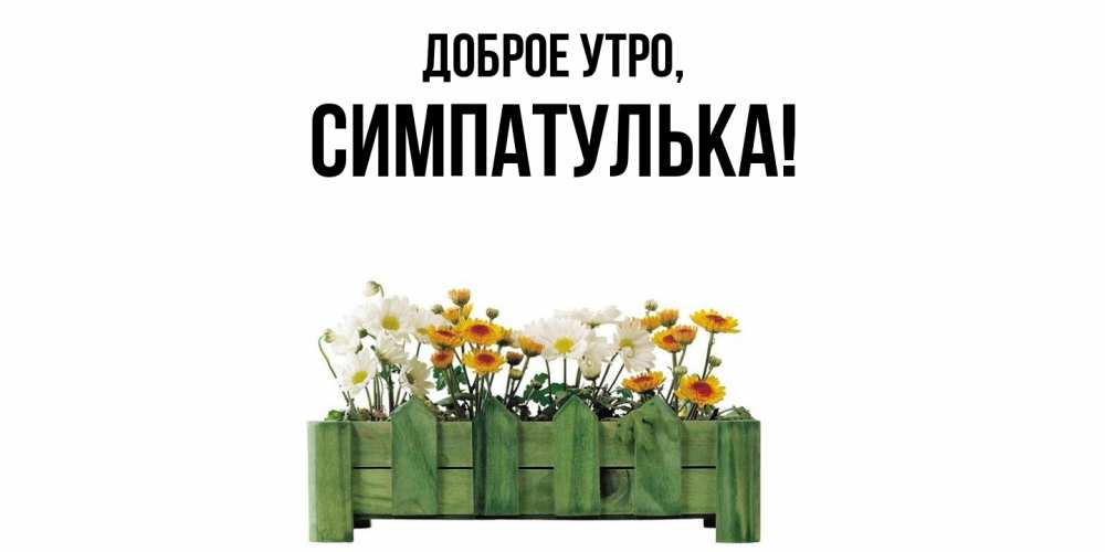 Открытка  для любимых и родных. симпатулька, Доброе утро  
