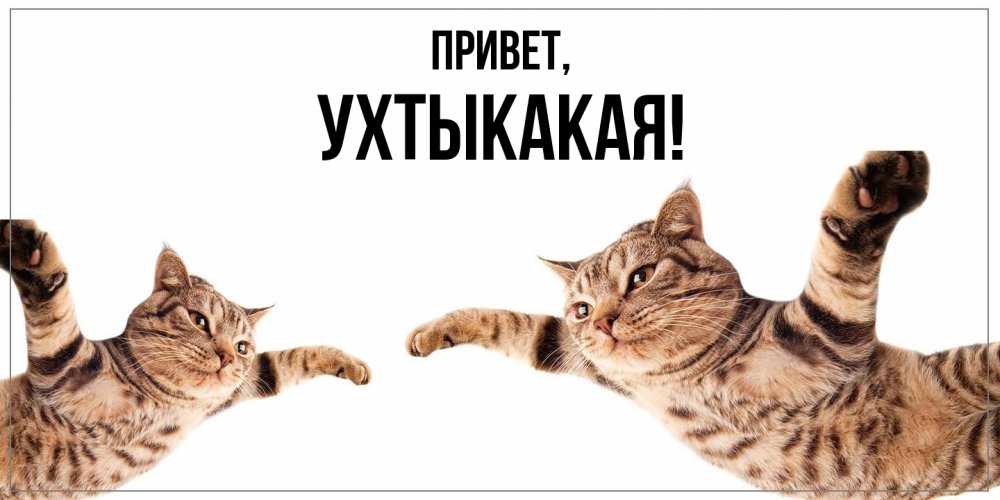 Открытка  для любимых и родных. ухтыкакая, Привет  