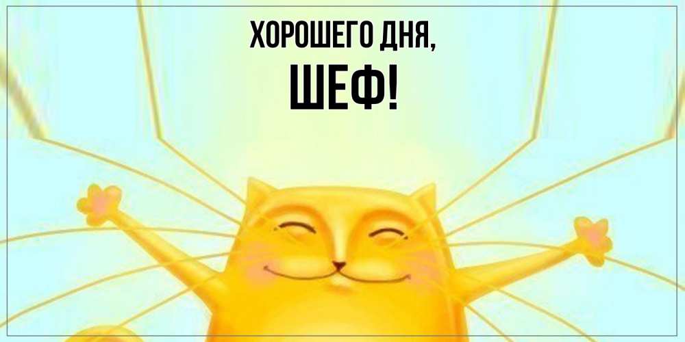 Открытка  для любимых и родных. Шеф, Хорошего дня  