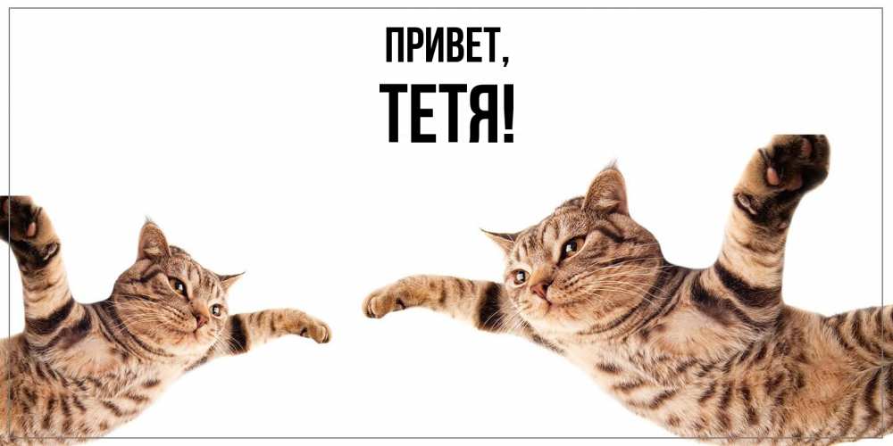 Открытка  для любимых и родных. Тетя, Привет  