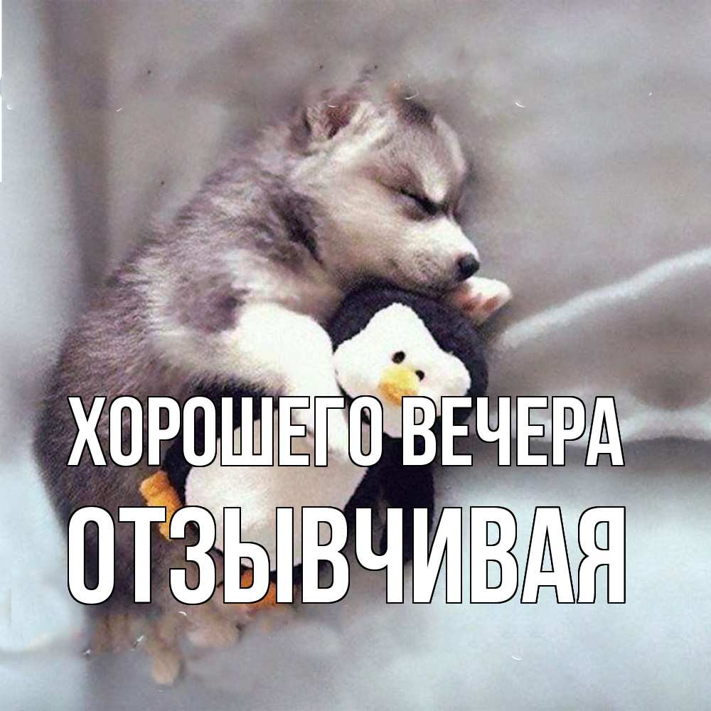 Открытка  для любимых и родных. отзывчивая, Хорошего вечера  