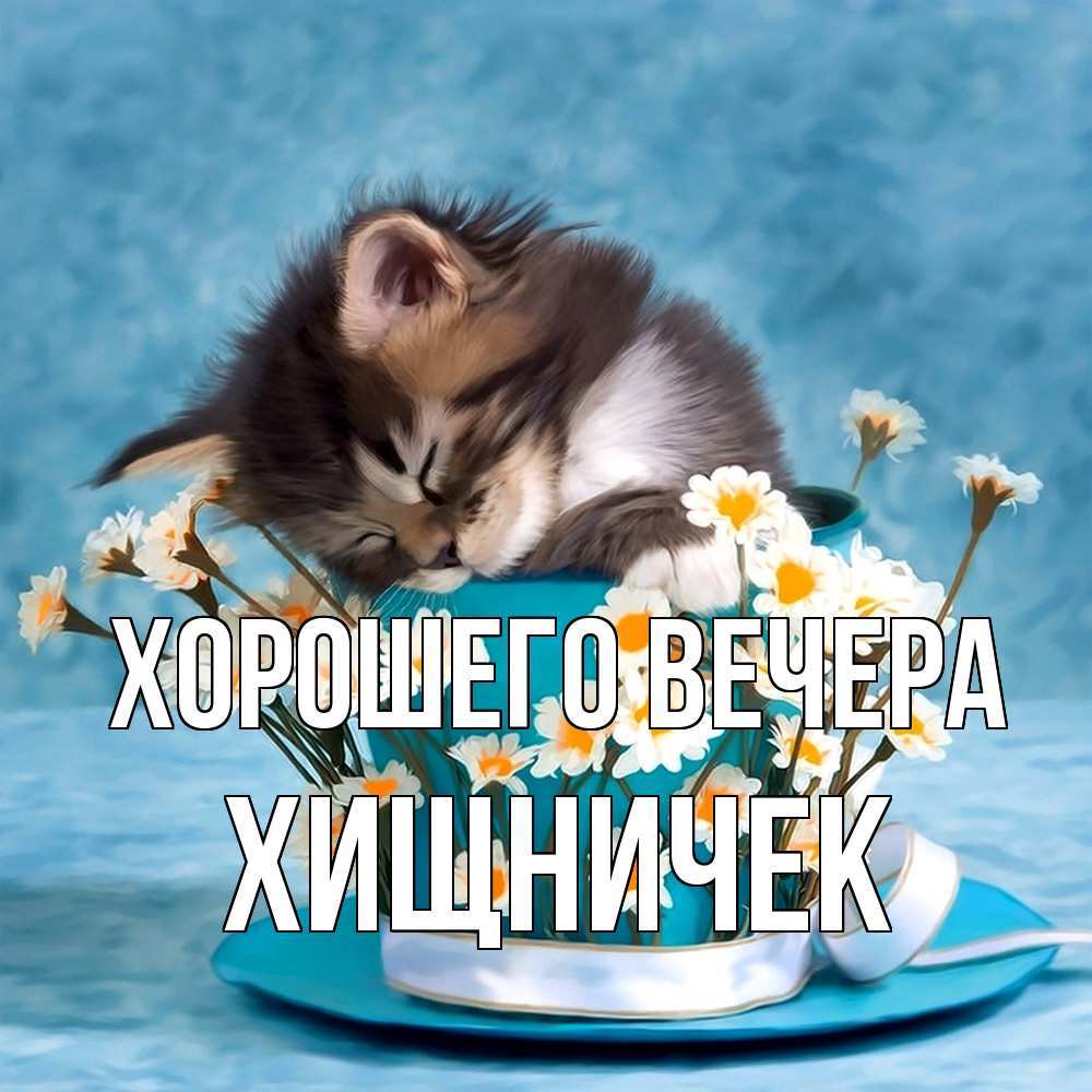 Картинка Хорошего вечера, хищничек