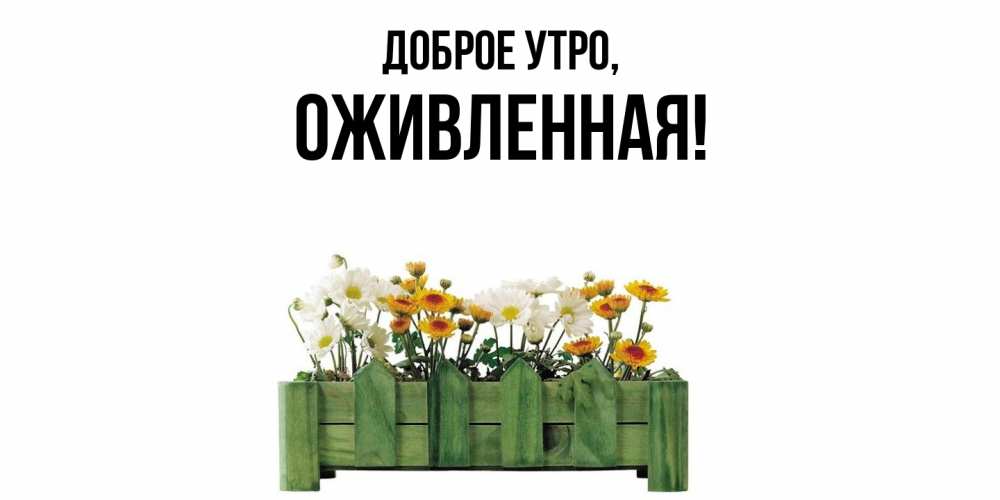 Картинка Доброе утро, оживленная