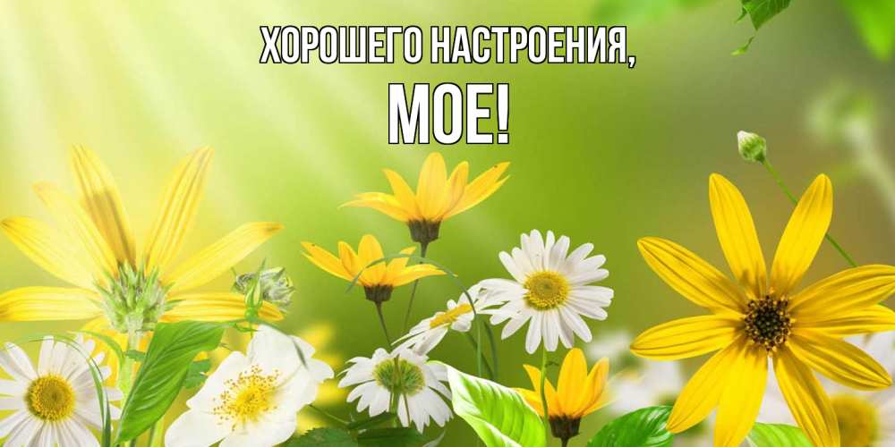 Открытка  для любимых и родных. мое, Хорошего настроения  