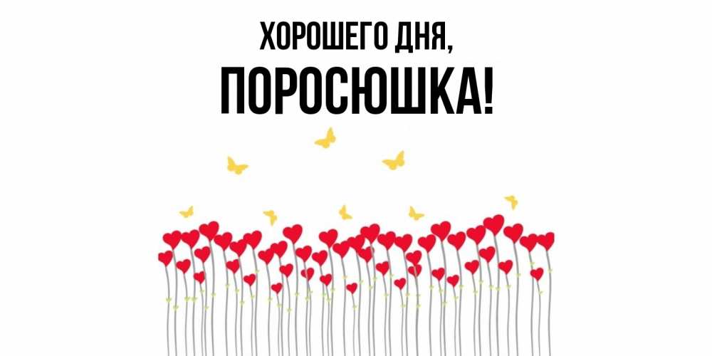 Открытка  для любимых и родных. поросюшка, Хорошего дня  