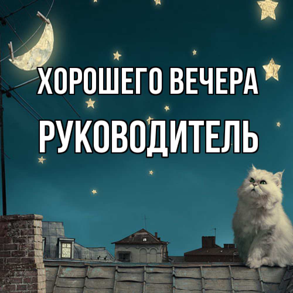 Открытка с именем, Руководитель, Хорошего вечера