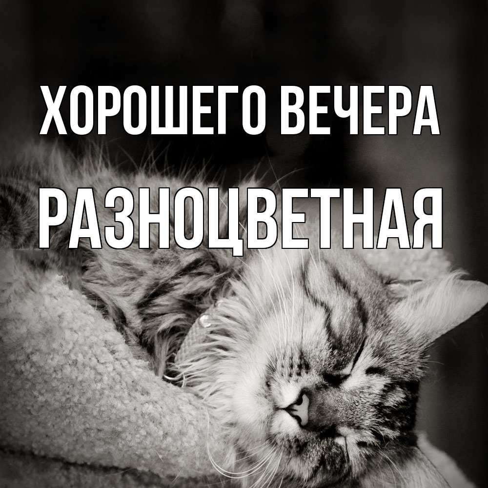 Открытка  для любимых и родных. разноцветная, Хорошего вечера  