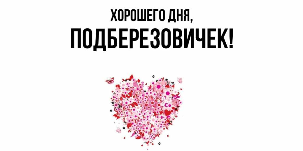 Открытка  для любимых и родных. подберезовичек, Хорошего дня  