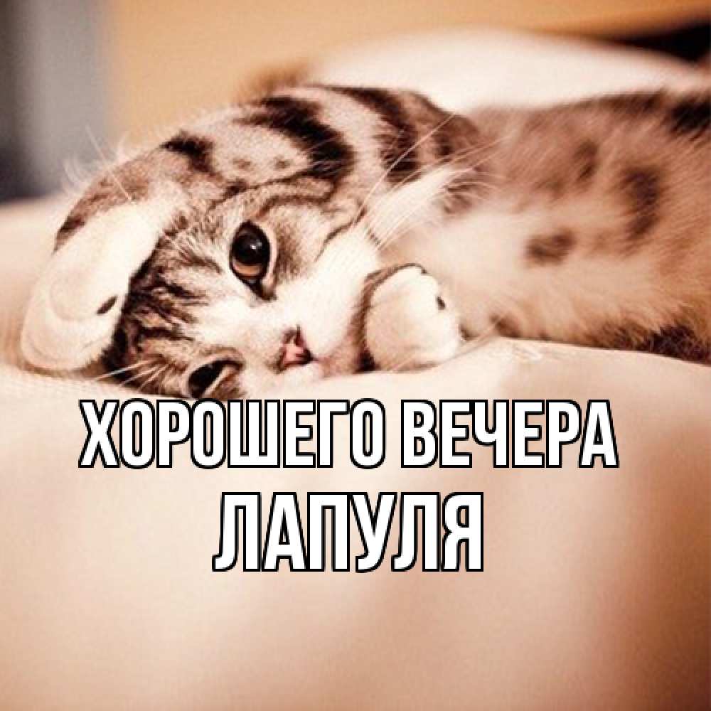 Открытка  для любимых и родных. лапуля, Хорошего вечера  