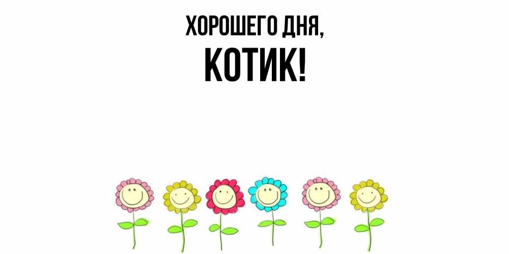 Открытка  для любимых и родных. котик, Хорошего дня  
