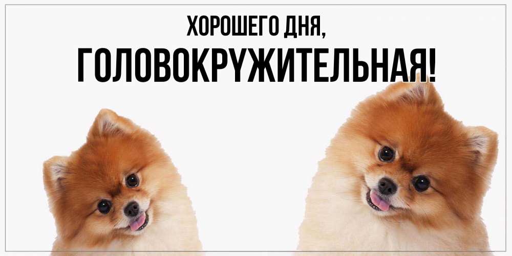 Открытка с именем, головокpyжительная, Хорошего дня