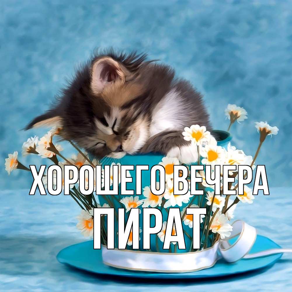 Открытка  для любимых и родных. пират, Хорошего вечера  