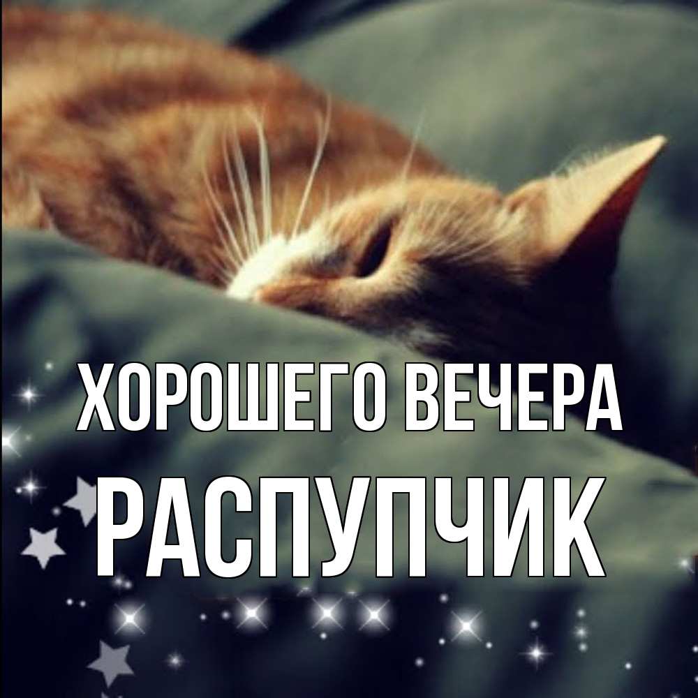 Открытка  для любимых и родных. распупчик, Хорошего вечера  