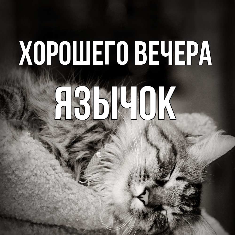 Открытка  для любимых и родных. язычок, Хорошего вечера  