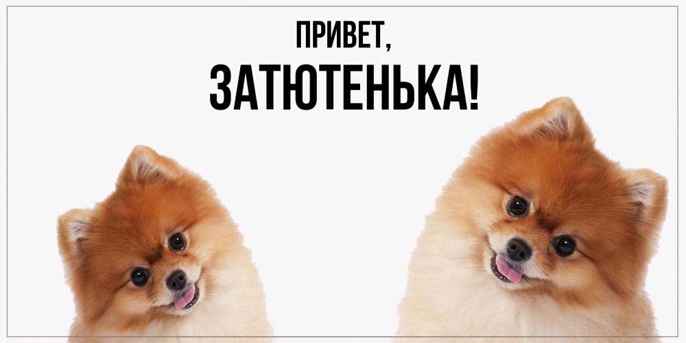 Открытка  для любимых и родных. затютенька, Привет  