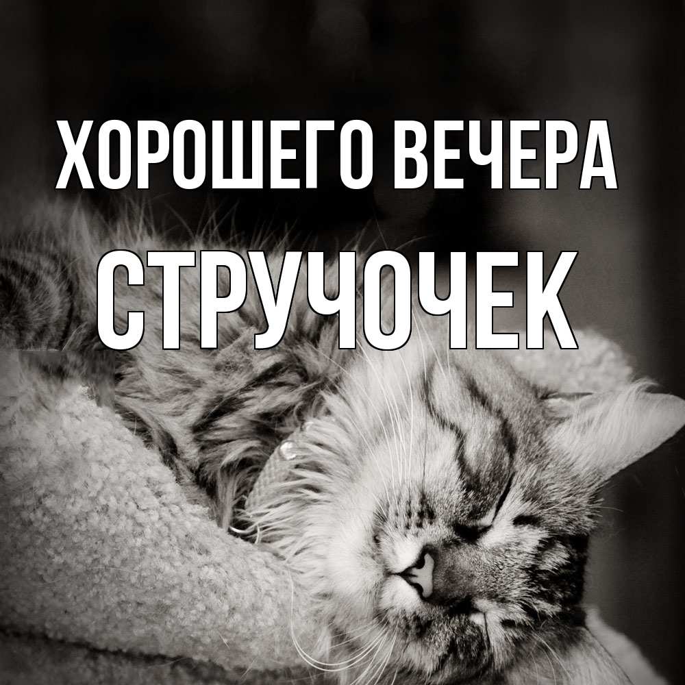 Картинка Хорошего вечера, стручочек