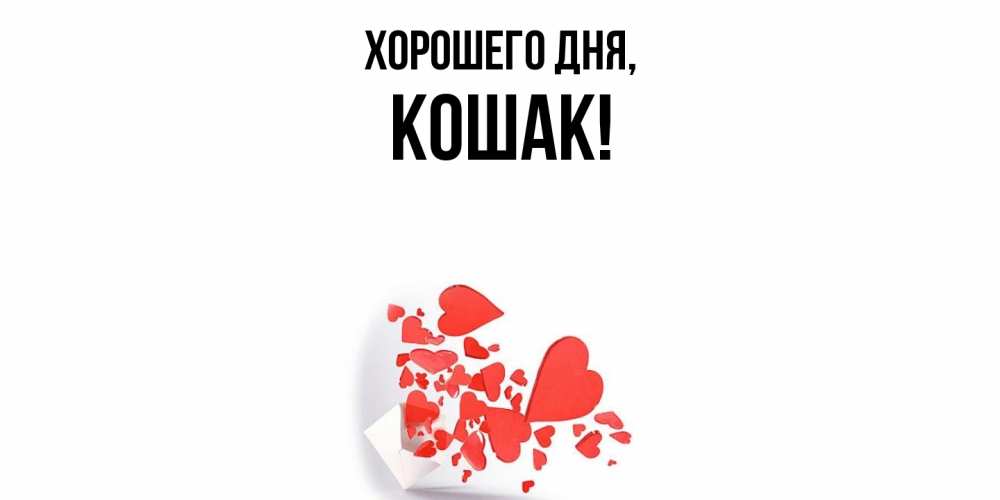 Открытка  для любимых и родных. кошак, Хорошего дня  