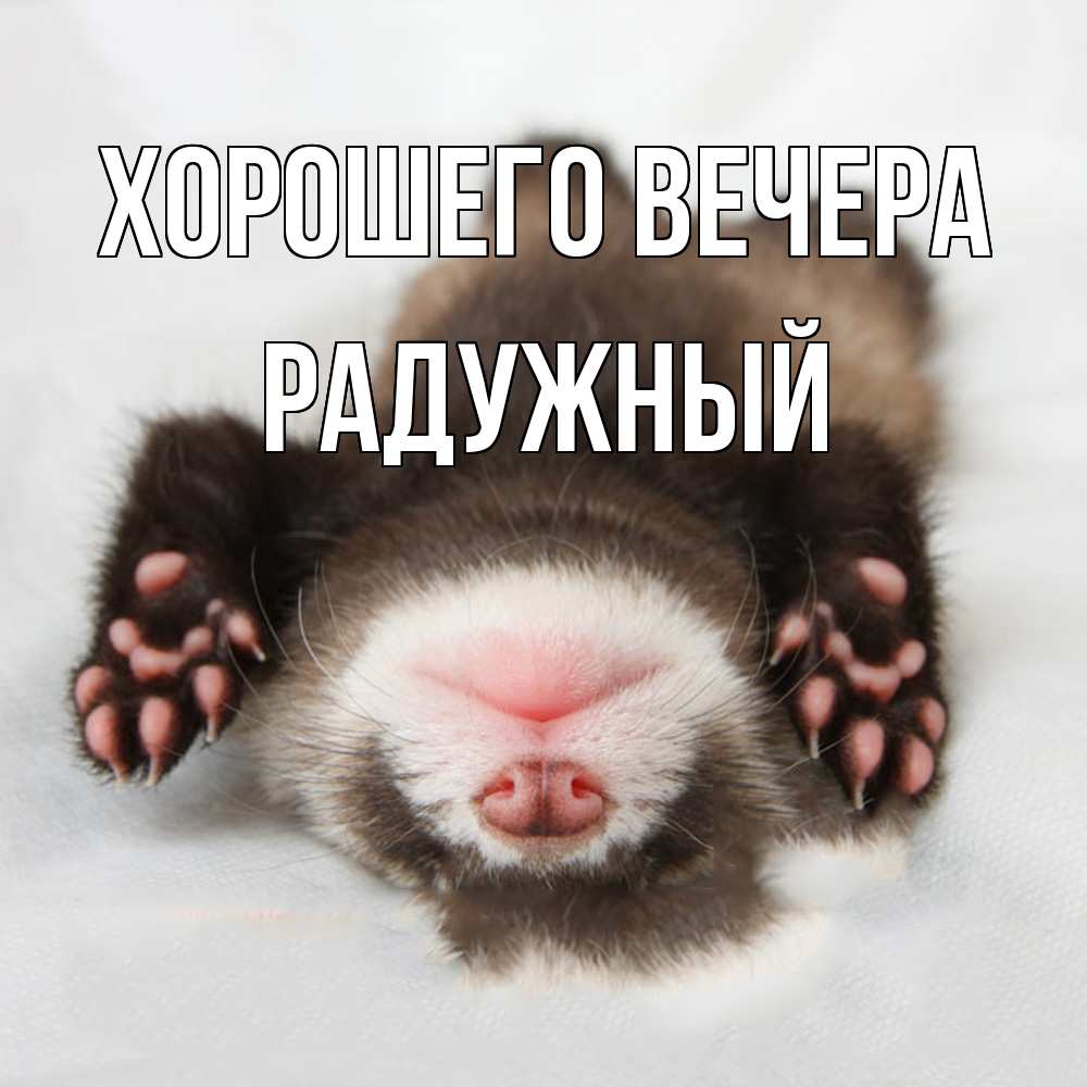 Открытка  для любимых и родных. радужный, Хорошего вечера  