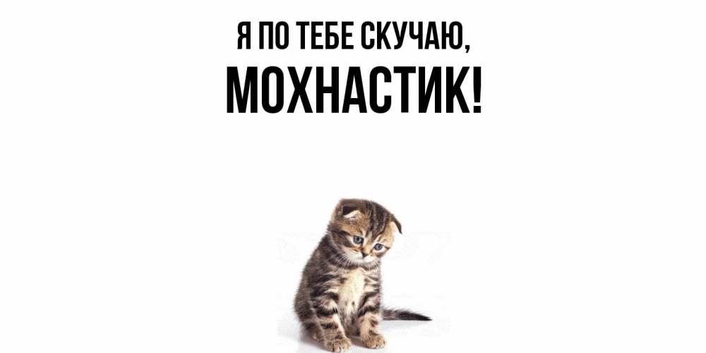 Открытка  для любимых и родных. мохнастик, Я по тебе скучаю  