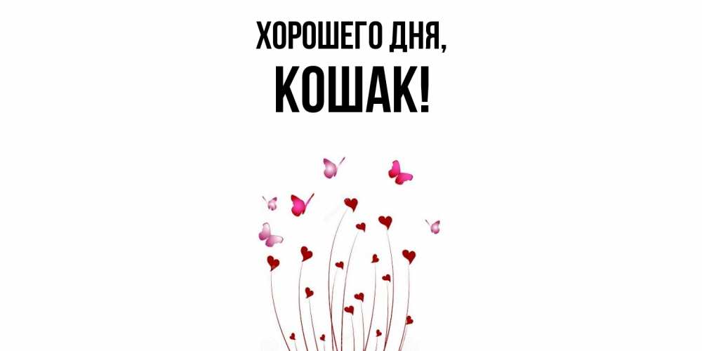 Открытка  для любимых и родных. кошак, Хорошего дня  