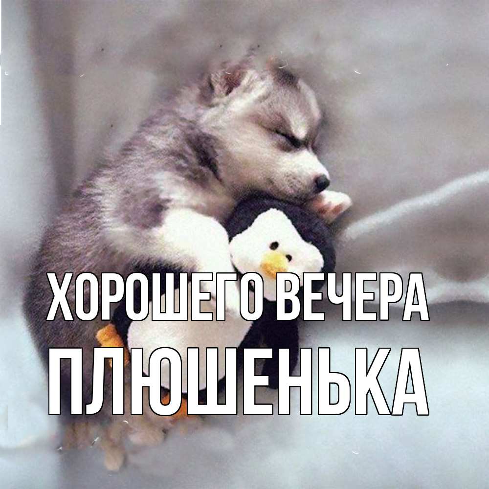 Картинка Хорошего вечера, плюшенька