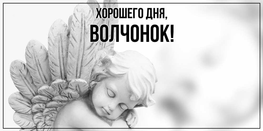 Открытка  для любимых и родных. волчонок, Хорошего дня  