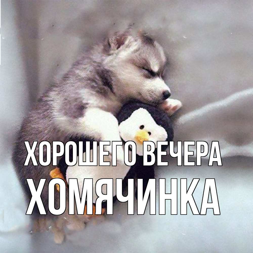 Картинка Хорошего вечера, хомячинка
