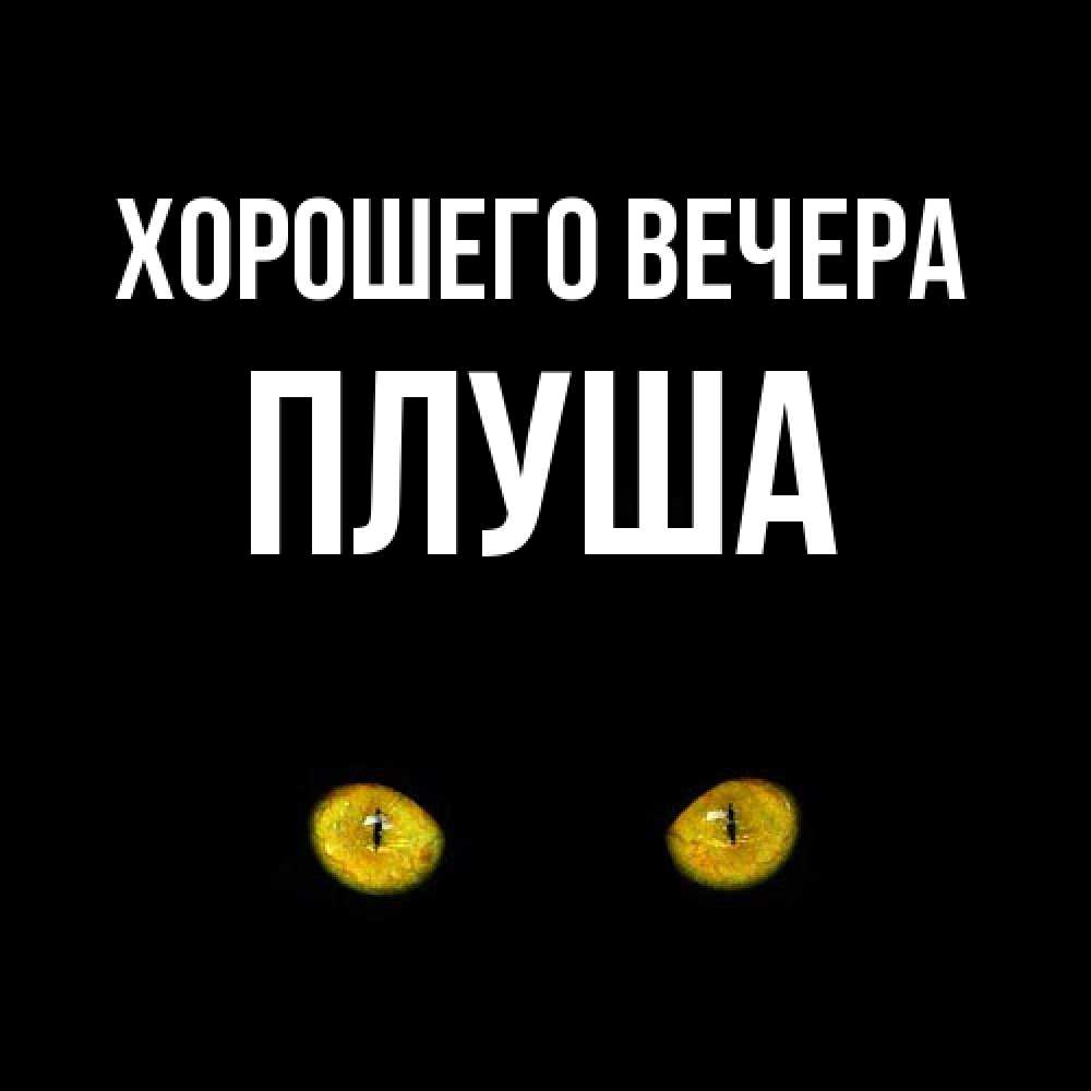 Картинка Хорошего вечера, плуша