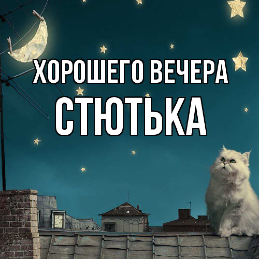 Открытка  для любимых и родных. стютька, Хорошего вечера  