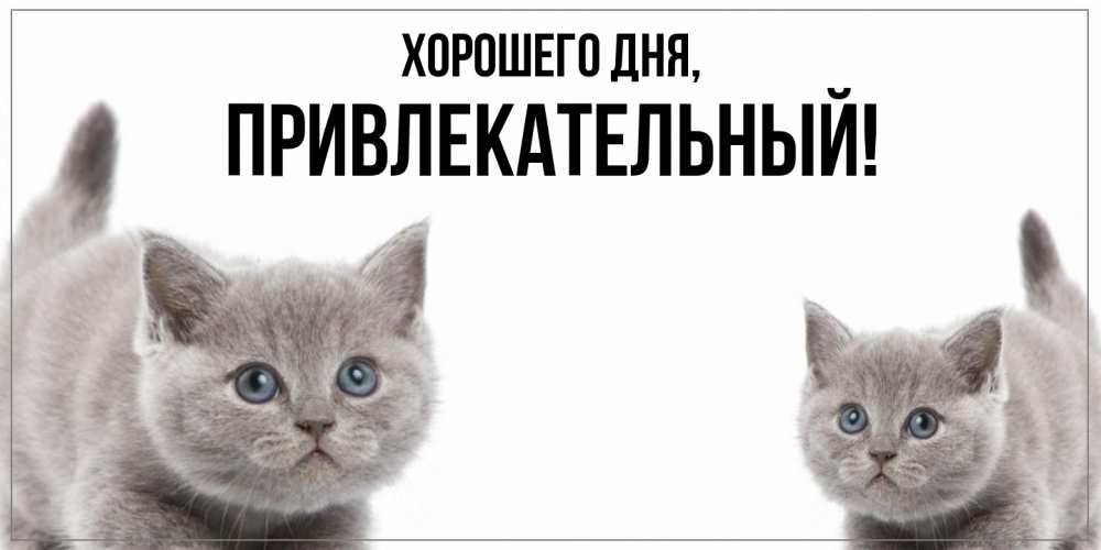 Открытка  для любимых и родных. привлекательный, Хорошего дня  