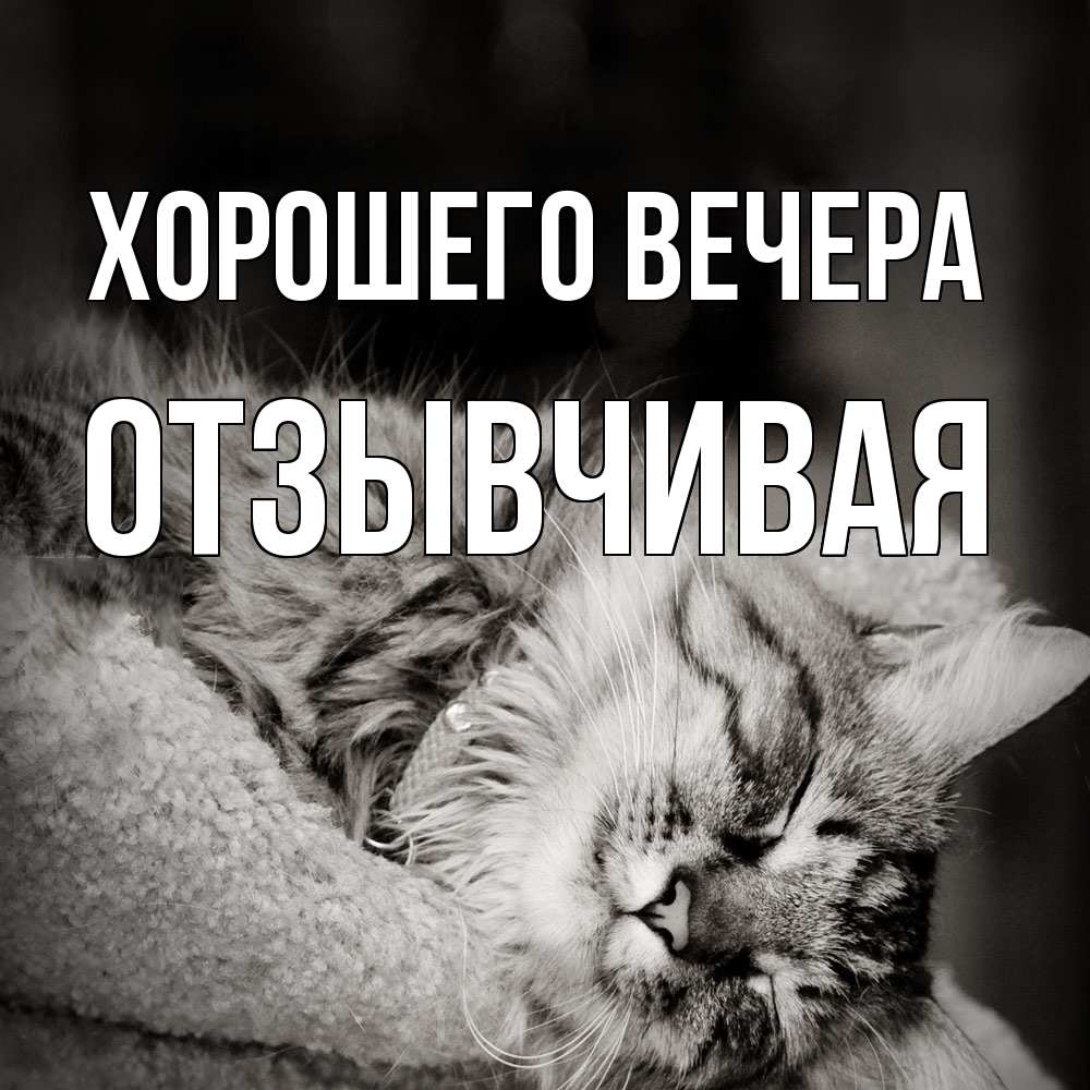 Картинка Хорошего вечера, отзывчивая