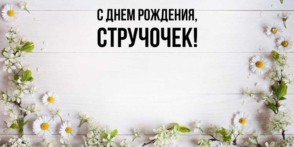 Картинка С днем рождения, стручочек