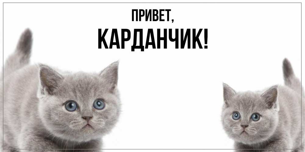 Открытка  для любимых и родных. карданчик, Привет  