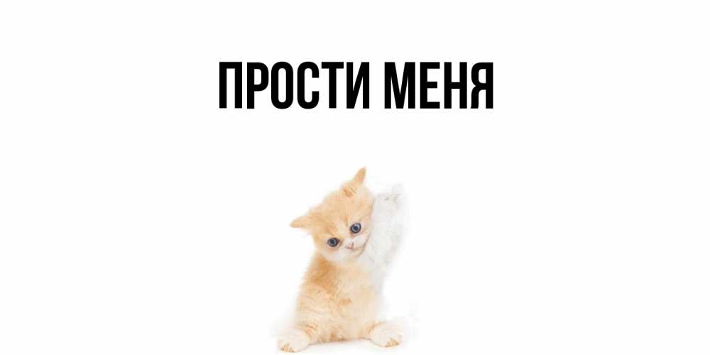 Картинка Прости меня, 