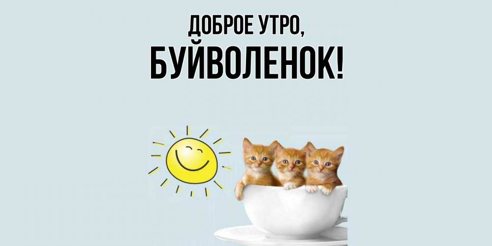 Открытка  для любимых и родных. буйволенок, Доброе утро  