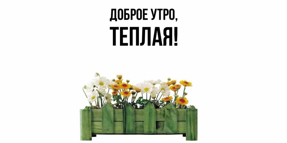 Открытка  для любимых и родных. теплая, Доброе утро  