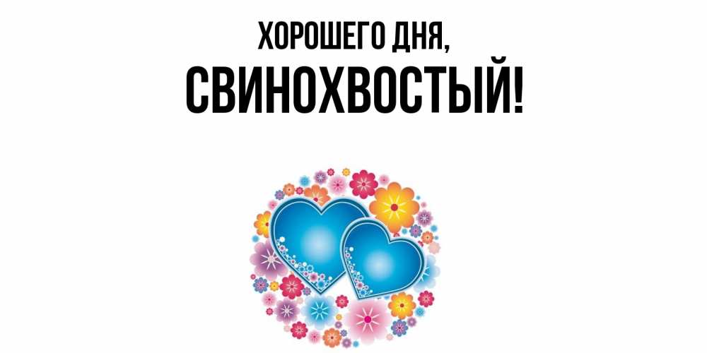 Открытка  для любимых и родных. свинохвостый, Хорошего дня  