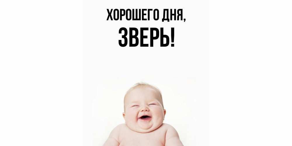 Открытка  для любимых и родных. зверь, Хорошего дня  